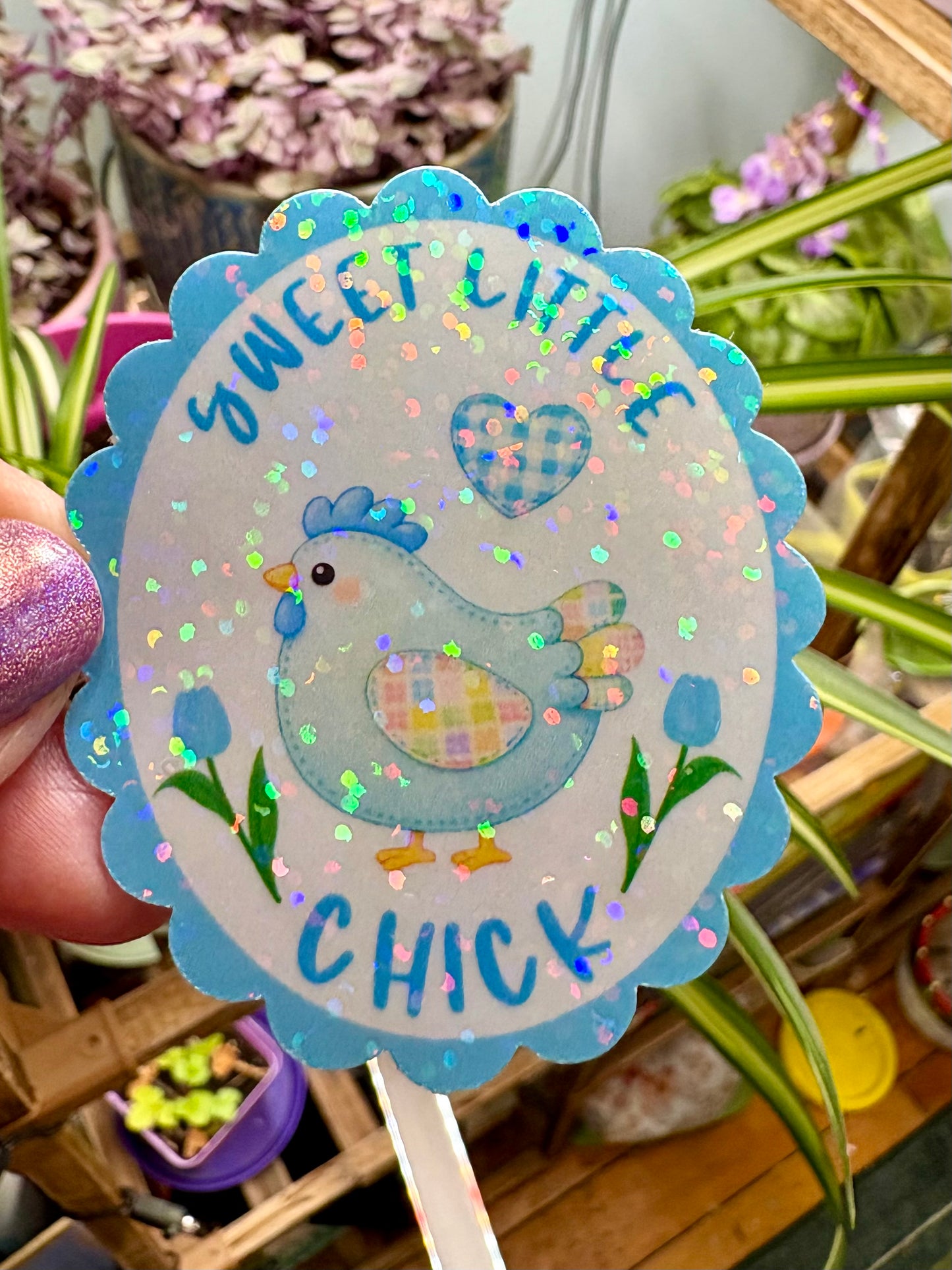 Chicken Sticker Set